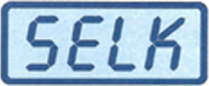 logo se